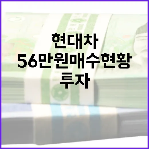 현대차 주식 56만…
