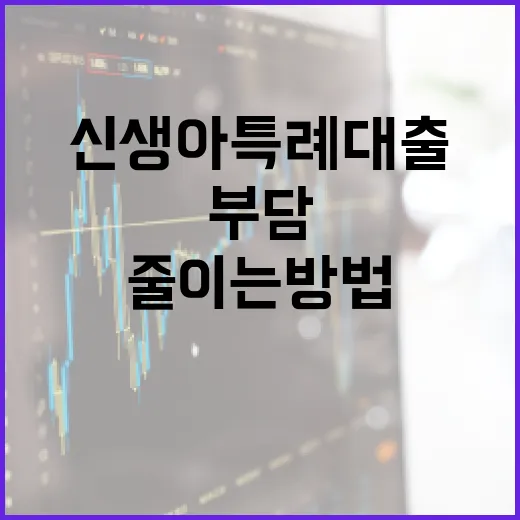 신생아 특례대출로 경제적 부담 줄이는 방법 - 요약