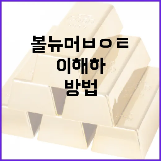 볼뉴머 ㅂㅇㅌ를 이해하는 방법과 활용법 - 요약