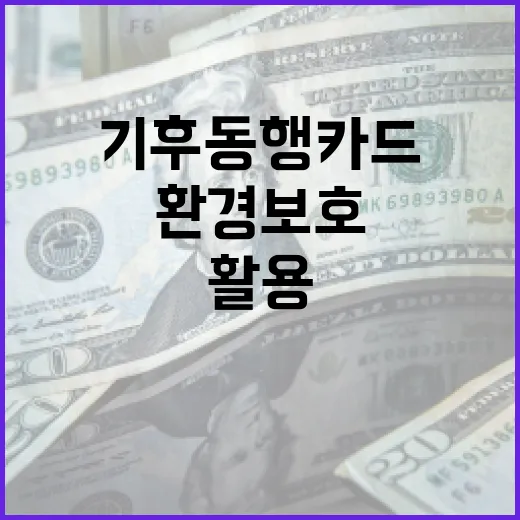 기후동행카드를 활용하여 환경 보호에 기여하는 방법 - 요약