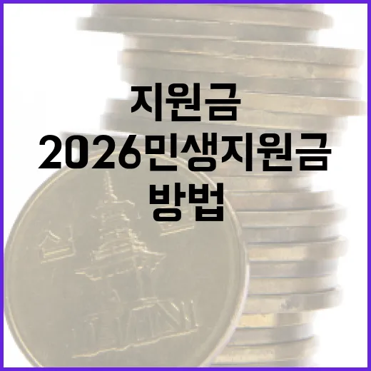 2026 민생지원금을 효과적으로 활용하는 방법 - 요약