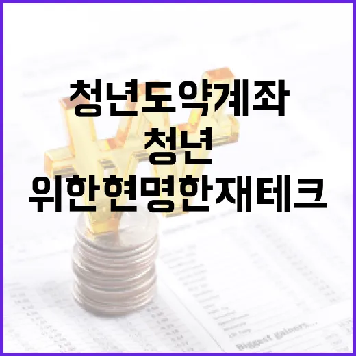 청년도약계좌를 활용하는 방법: 미래를 위한 현명한 재테크 전략 - 요약