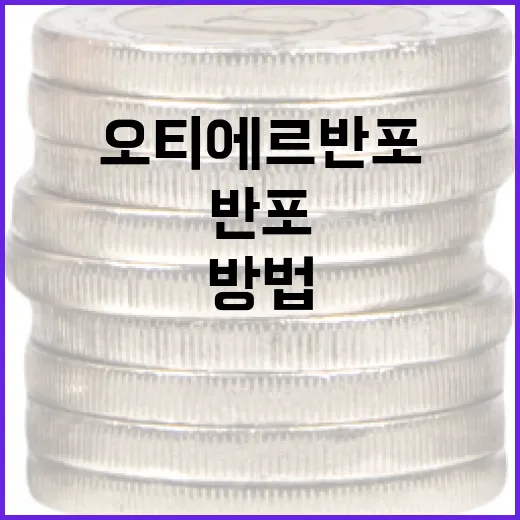 오티에르 반포를 완벽히 즐기는 방법 - 요약