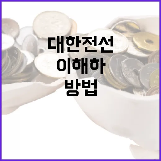 대한전선을 이해하고 활용하는 방법 - 요약