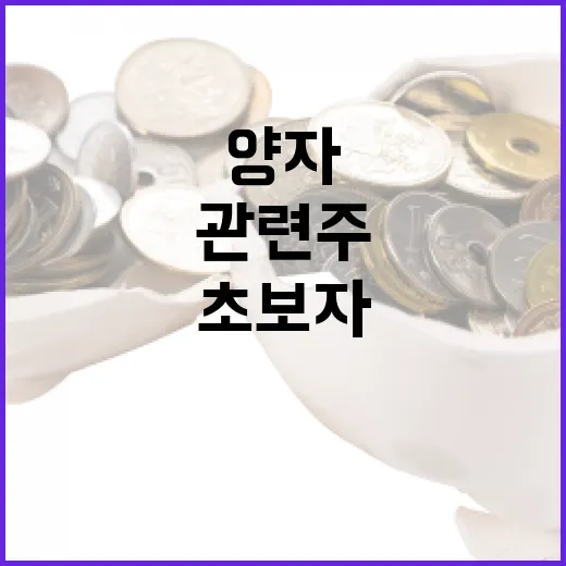 양자 관련주에 투자하는 방법: 초보자를 위한 가이드 - 요약