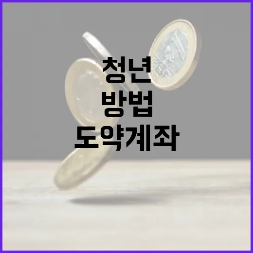 청년도약계좌를 활용하는 방법 - 요약