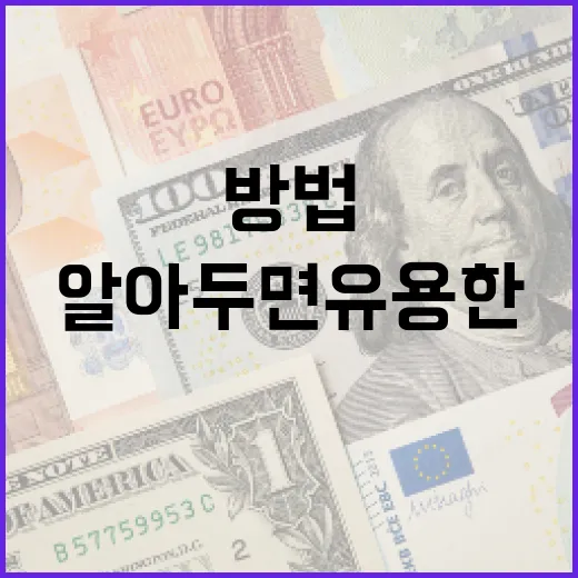 정년연장을 준비하는 방법: 알아두면 유용한 팁 - 요약