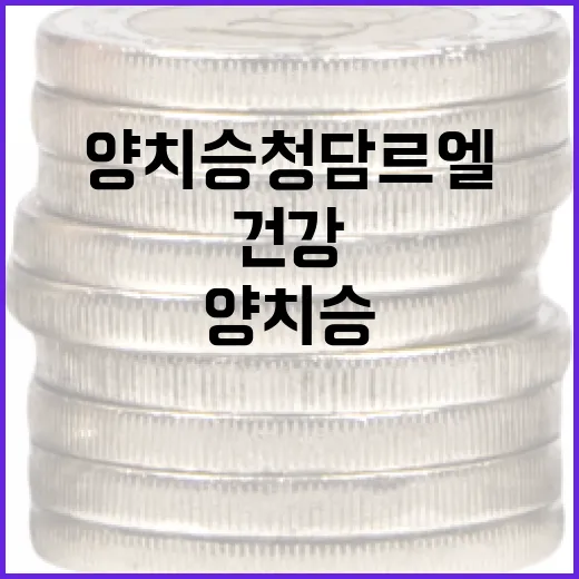 양치승 청담르엘에서 건강하게 운동하는 방법 - 요약