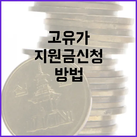 고유가지원금 신청하는 방법과 유용한 팁 - 요약