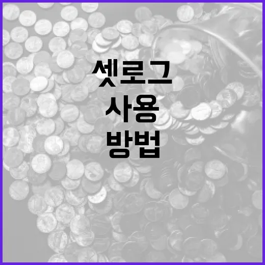 셋로그를 효과적으로 사용하는 방법 - 요약