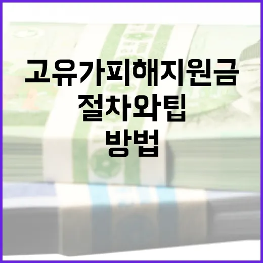 고유가 피해지원금을 받는 방법: 절차와 팁 - 요약