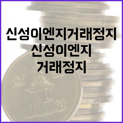 신성이엔지 거래정지 상황에서 주의할 점 - 요약