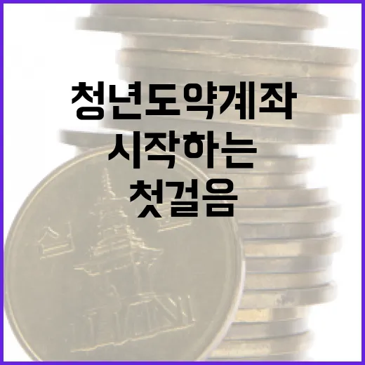 청년도약계좌를 시작하는 방법: 첫걸음부터 전문가 팁까지 - 요약