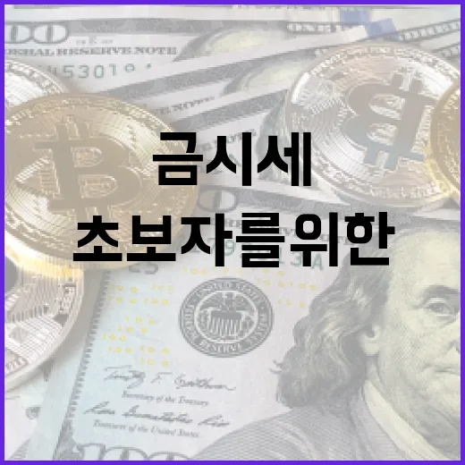 금시세를 이해하는 방법: 투자 초보자를 위한 가이드 - 요약