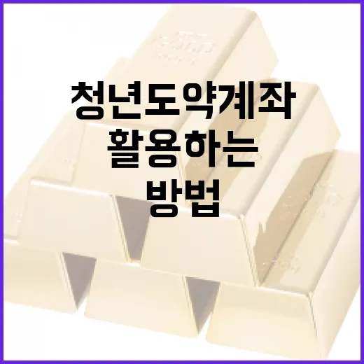 청년도약계좌를 최대한 활용하는 방법 - 요약