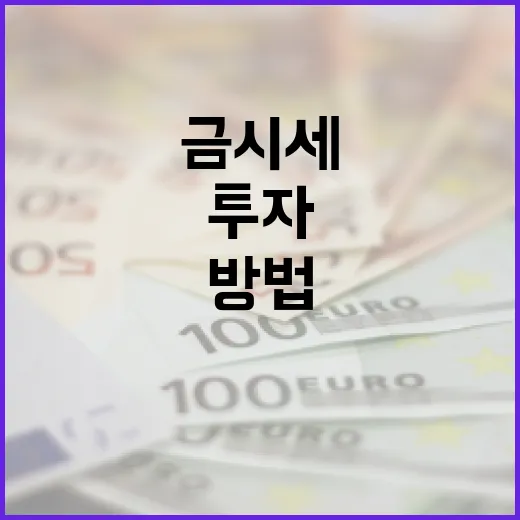 금시세를 이해하고 투자하는 방법 - 요약