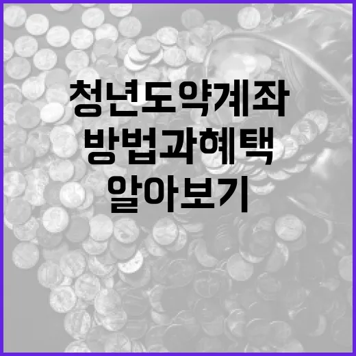 청년도약계좌를 시작하는 방법과 혜택 알아보기 - 요약