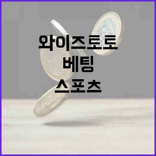 와이즈토토로 실속 있는 스포츠 베팅 즐기는 방법 - 요약