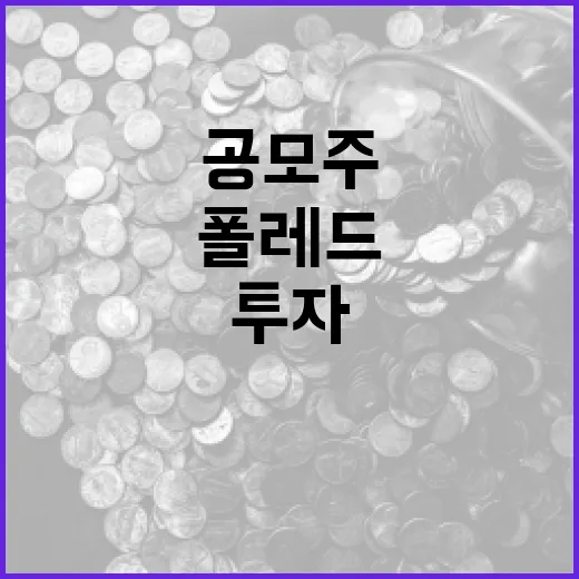 폴레드 공모주에 투자하는 방법 - 요약