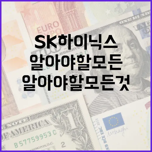 SK하이닉스에 대해 알아야 할 모든 것: 기술과 미래 전망 - 요약