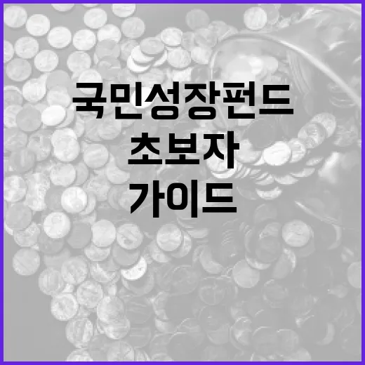 국민성장펀드에 투자하는 방법: 초보자를 위한 가이드 - 요약