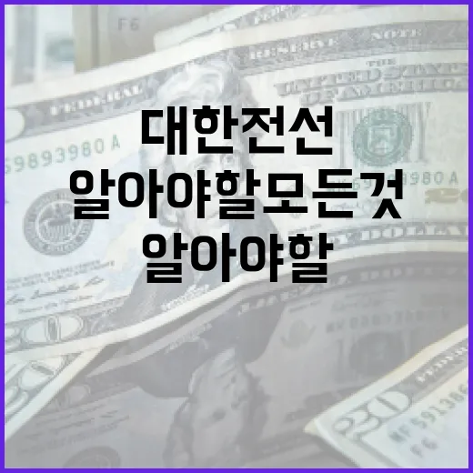 대한전선에 대해 알아야 할 모든 것 - 요약