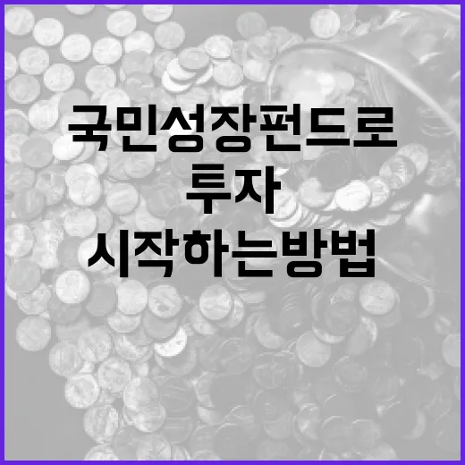 국민성장펀드로 투자 시작하는 방법 - 요약