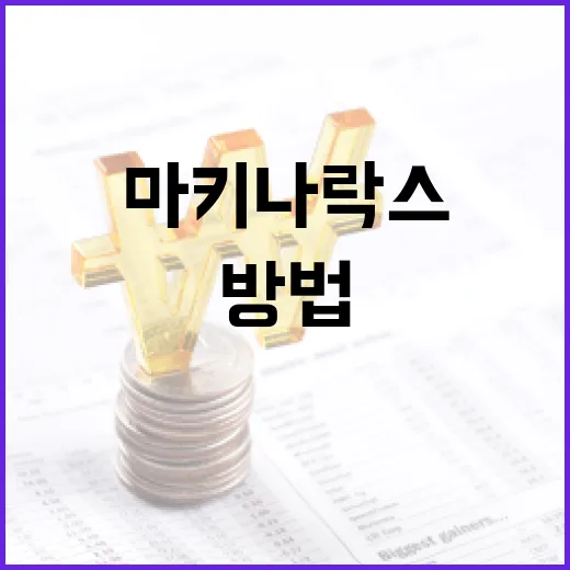 마키나락스를 이해하고 활용하는 방법 - 요약