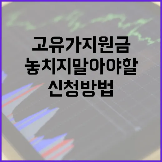 고유가 지원금 신청 방법: 놓치지 말아야 할 팁 - 요약