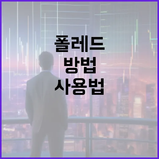폴레드 사용법: 편안한 공간을 만드는 방법 - 요약