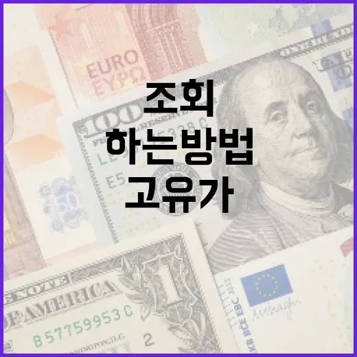 고유가지원금 조회를 쉽게 하는 방법 - 요약