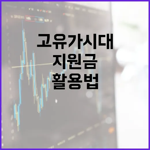 고유가 시대를 대비하는 지원금 활용법 - 요약