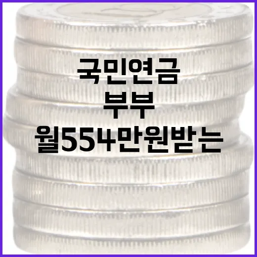 국민연금으로 월 554만원 받는 부부의 비결 - 요약