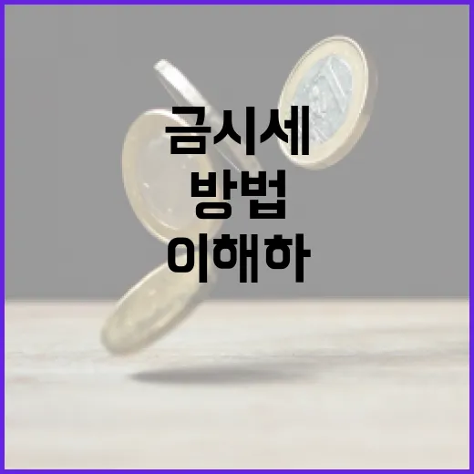 금시세를 이해하고 활용하는 방법 - 요약