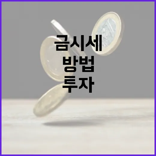 금시세 파악하고 투자하는 방법 - 요약