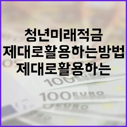 청년미래적금, 제대로 활용하는 방법 - 요약