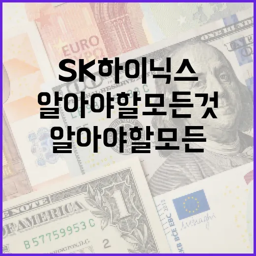 SK하이닉스에 대해 알아야 할 모든 것 - 요약