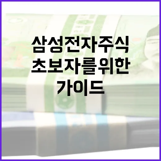 삼성전자 주식, 초보자를 위한 투자 가이드 - 요약