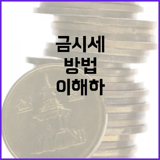 금시세를 이해하고 활용하는 방법 - 요약