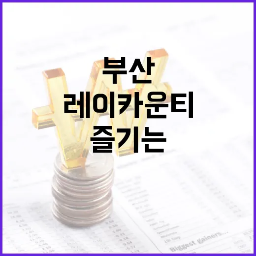 부산 레이카운티, 알차게 즐기는 방법 - 요약