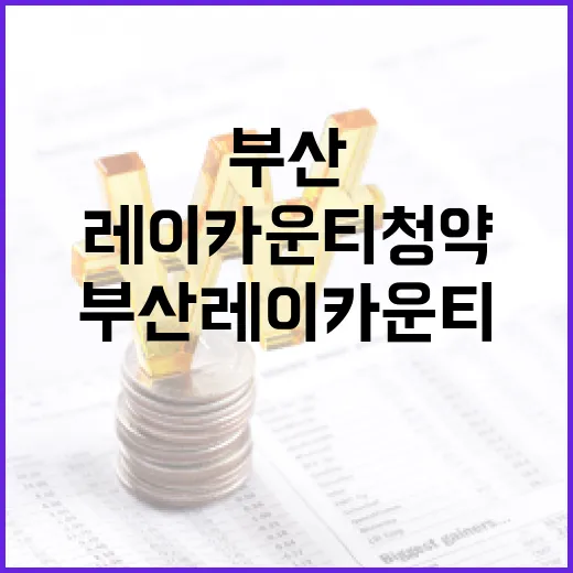 부산 레이카운티 청약 성공을 위한 꿀팁 - 요약