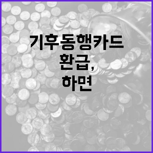 기후동행카드 환급, 이렇게 하면 쉬워요! - 요약