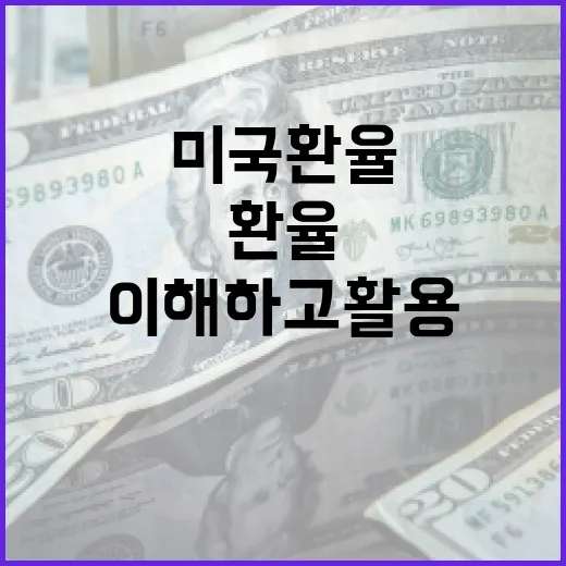 미국 환율을 이해하고 활용하는 방법 - 요약
