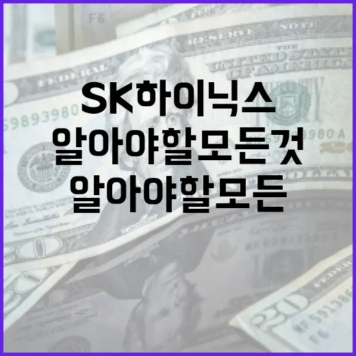 SK하이닉스에 대해 알아야 할 모든 것 - 요약