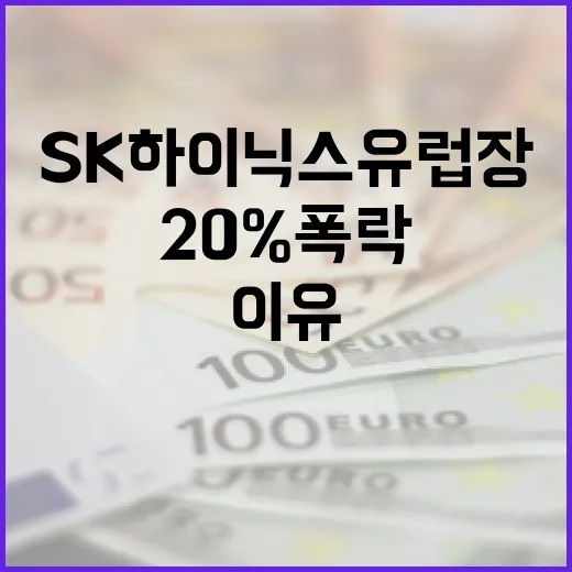 SK하이닉스 유럽장에서 20% 폭락한 이유와 대처 방법 - 요약