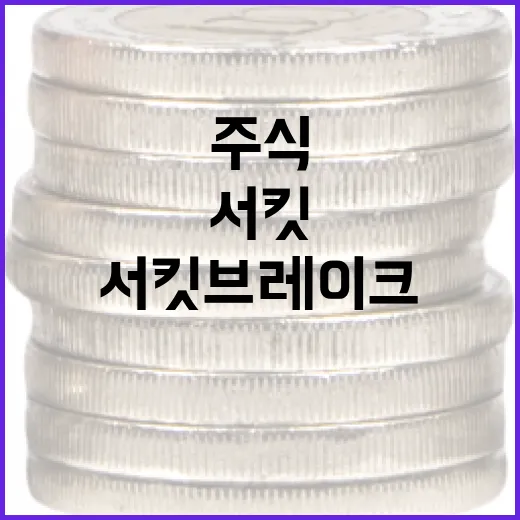 주식 서킷브레이크 알아보기: 초보자를 위한 친절한 설명 - 요약