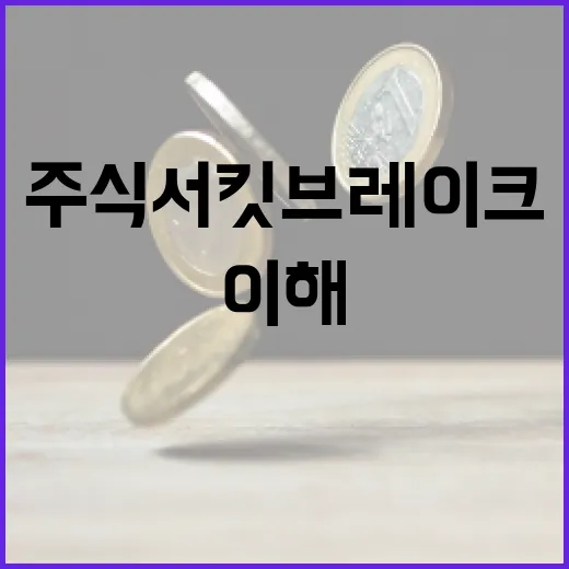주식 서킷브레이크 이해하기: 왜 필요할까요? - 요약