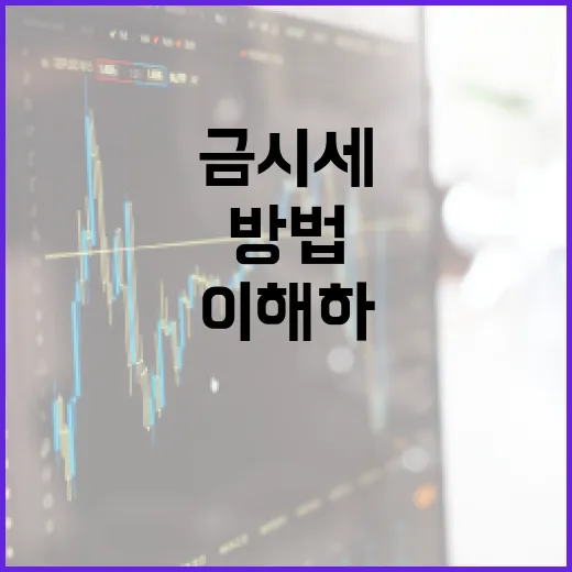금시세를 이해하고 활용하는 방법 - 요약