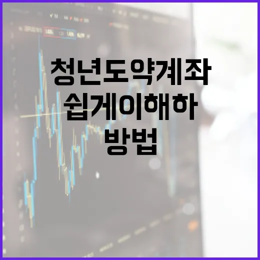 청년도약계좌, 쉽게 이해하고 활용하는 방법 - 요약