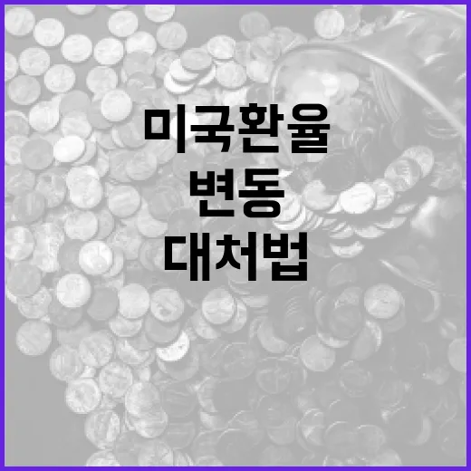 미국환율 쉽게 이해하기: 환율 변동의 이유와 대처법 - 요약